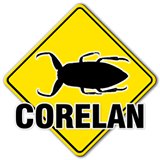 Corelan Security